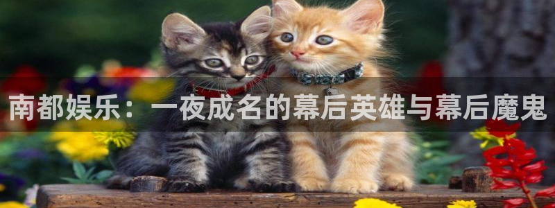 沐鸣2注册：南都娱乐：一夜成名的幕后英雄与幕后魔鬼