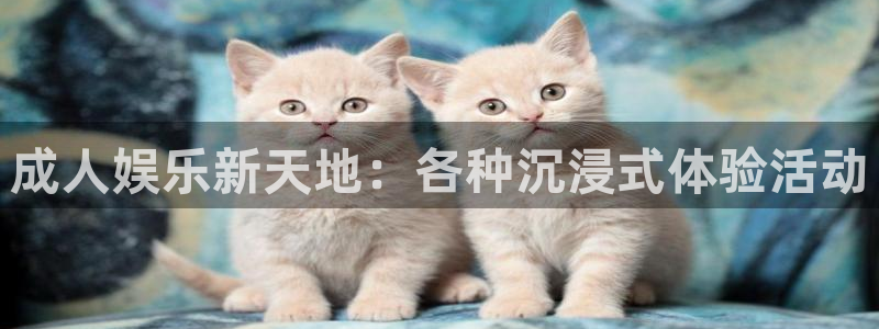 沐鸣2在线登录：成人娱乐新天地：各种沉浸式体验活动