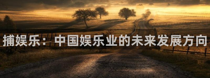 沐鸣2登录：捕娱乐：中国娱乐业的未来发展方向