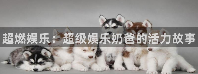 沐鸣2平台：超燃娱乐：超级娱乐奶爸的活力故事