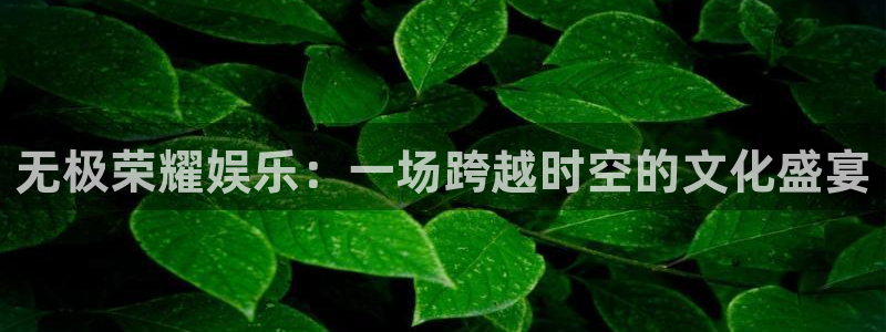 沐鸣2登录：无极荣耀娱乐：一场跨越时空的文化盛宴