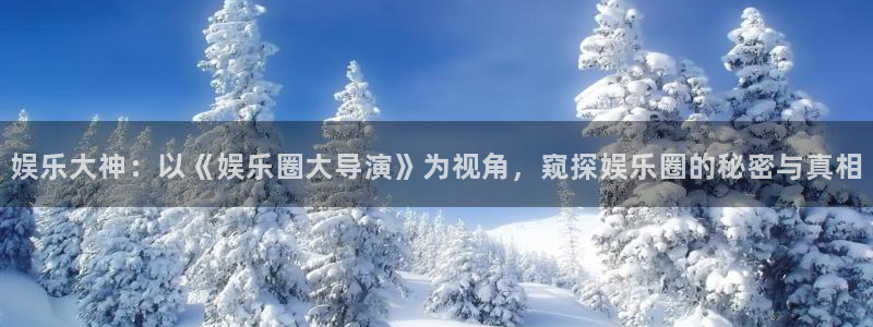 沐鸣2：娱乐大神：以《娱乐圈大导演》为视角，窥探娱乐圈的秘密与真相